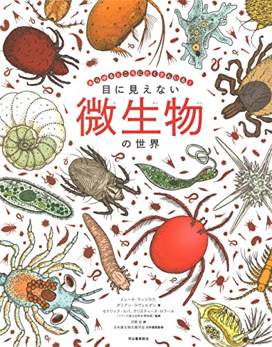 目に見えない微生物の世界: あらゆるところにたくさんいる!