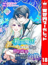 精霊魔法が使えない無能だと婚約破棄されたので、義妹の奴隷になるより追放を選びました 18 冊セット 最新刊まで