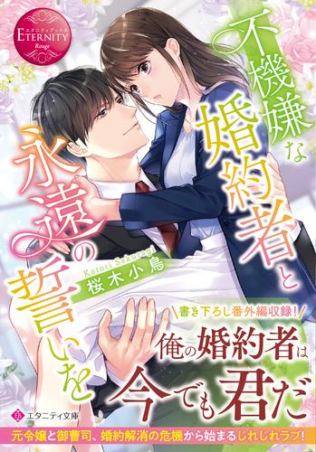 [ライトノベル]不機嫌な婚約者と永遠の誓いを (全1冊)