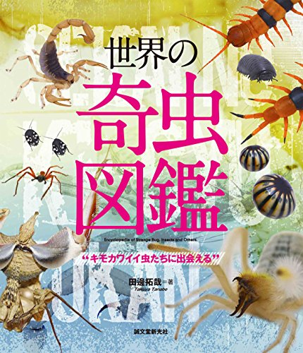 世界の奇虫図鑑: キモカワイイ虫たちに出会える