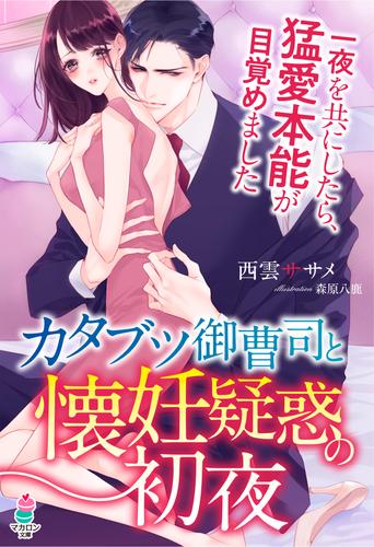 カタブツ御曹司と懐妊疑惑の初夜～一夜を共にしたら、猛愛本能が目覚めました～