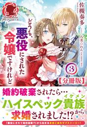 【分冊版】どうも、悪役にされた令嬢ですけれど　3話（アリアンローズ）