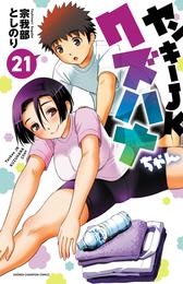 ヤンキーJKクズハナちゃん 21 冊セット 最新刊まで