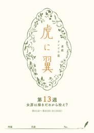 ＮＨＫ連続テレビ小説「虎に翼」シナリオ集 13 冊セット 最新刊まで