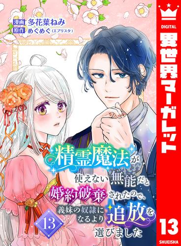 精霊魔法が使えない無能だと婚約破棄されたので、義妹の奴隷になるより追放を選びました 13