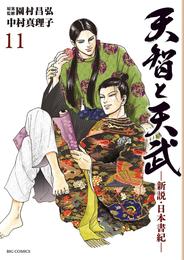 天智と天武　―新説・日本書紀― 11 冊セット 全巻