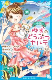 小説　ゆずのどうぶつカルテ（１１）　こちら　わんニャンどうぶつ病院