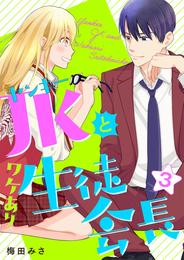 ヤンキーＪＫとワケあり生徒会長　単行本版 3 冊セット 全巻