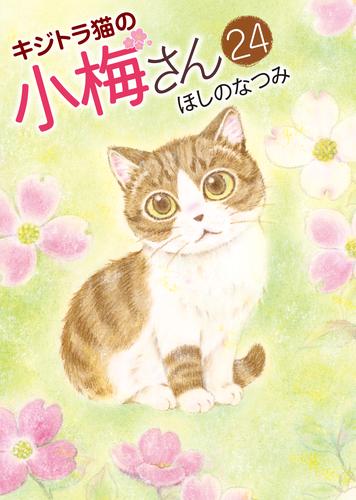 キジトラ猫の小梅さん 24 冊セット 最新刊まで
