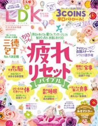 LDK 2024年11月号【電子書籍版限定特典付き】