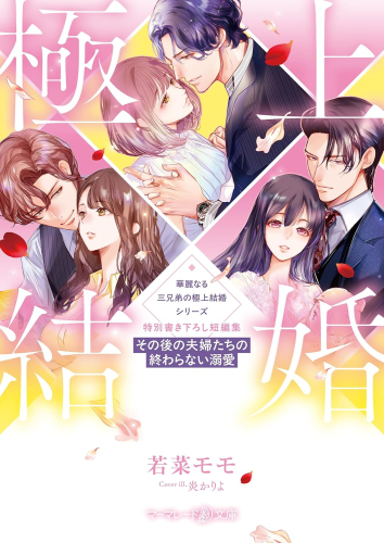[ライトノベル]華麗なる三兄弟の極上結婚シリーズ 特別書き下ろし短編集〜その後の夫婦たちの終わらない溺愛〜 (全1冊)