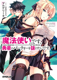 [ライトノベル]魔法使いです。勇者のパーティーを抜けたいです。(全1冊)