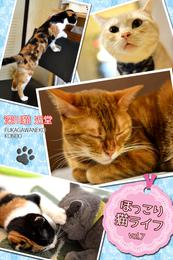 ほっこり猫ライフ　vol.7