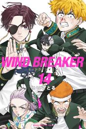 ＷＩＮＤ　ＢＲＥＡＫＥＲ（１４）