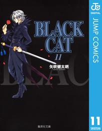 BLACK CAT 11