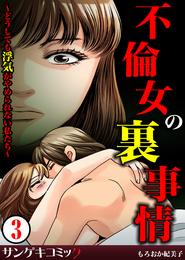 不倫女の裏事情～どうしても浮気がやめられない私たち～ 3 冊セット 最新刊まで