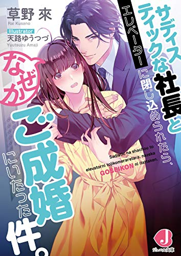 [ライトノベル]サディスティックな社長とエレベーターに閉じ込められたら、 なぜかご成婚にいたった件。 (全1冊)