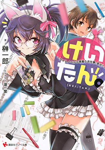 [ライトノベル]けいたん。〜ライトノベルは素敵なお仕事。多分?〜 (全1冊)