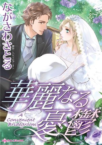 華麗なる憂鬱【分冊】 12 冊セット 全巻