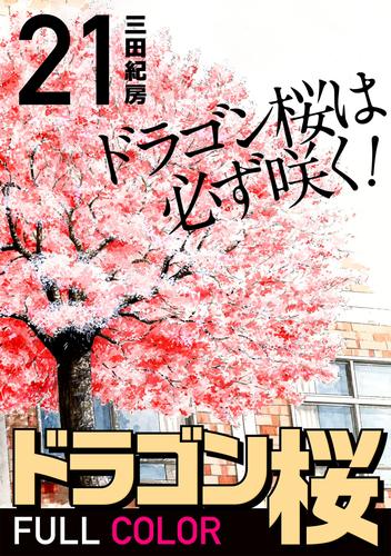 ドラゴン桜 フルカラー 版 21 冊セット 全巻 | 漫画全巻ドットコム