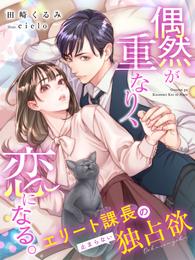 偶然が重なり、恋になる。～エリート課長の止まらない独占欲～