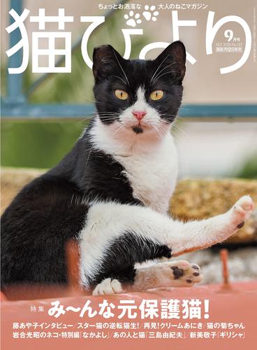 猫びより2020年9月号　Vol.113