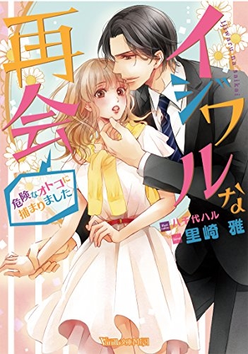 [ライトノベル]イジワルな再会〜危険なオトコに捕まりました〜 (全1冊)