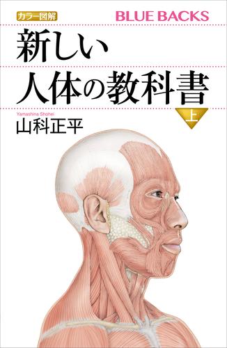 カラー図解　新しい人体の教科書　上