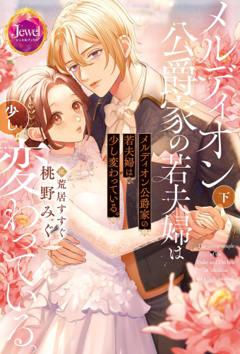 [ライトノベル]メルディオン公爵家の若夫婦は少し変わっている (全2冊)