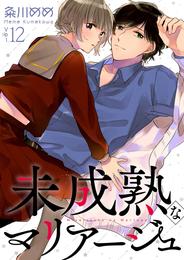 未成熟なマリアージュ 12 冊セット 全巻