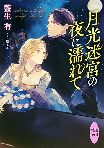 [ライトノベル]月光迷宮の夜に濡れて (全1冊)