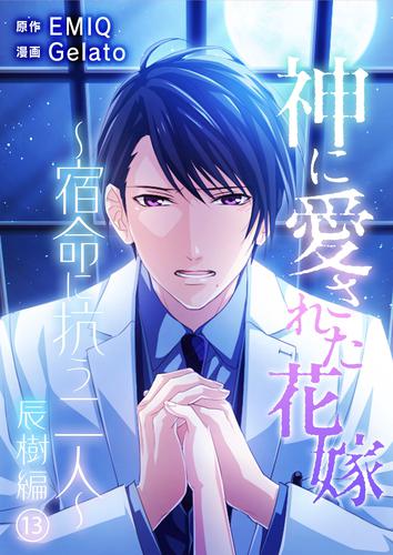 神に愛された花嫁～宿命に抗う二人～ 辰樹編 14 冊セット 全巻