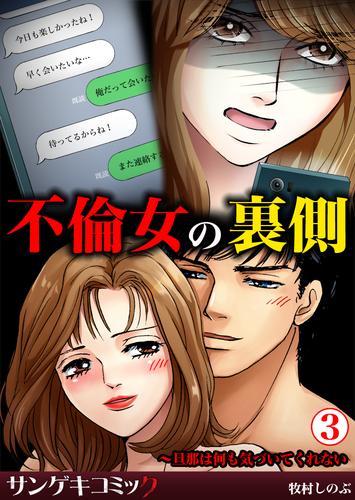 不倫女の裏側~旦那は何も気づいてくれない3