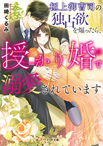 [ライトノベル]極上御曹司の独占欲を煽ったら、授かり婚で溺愛されています (全1冊)