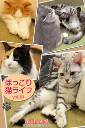 ほっこり猫ライフ　vol.18