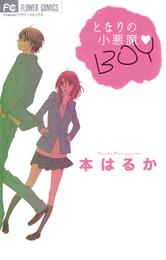 となりの小悪魔 BOY