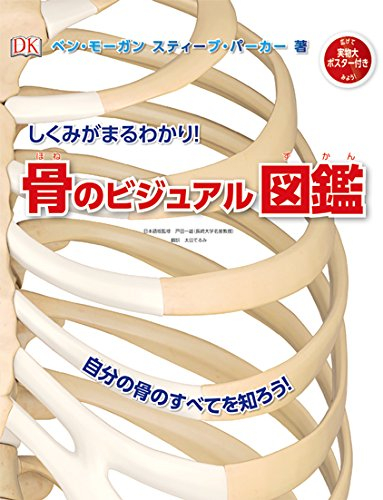 しくみがまるわかり! 骨のビジュアル図鑑