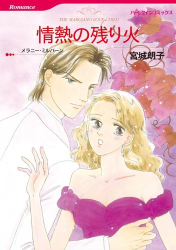 情熱の残り火【分冊】 12 冊セット 全巻