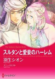 スルタンと愛妾のハーレム【分冊】 1巻