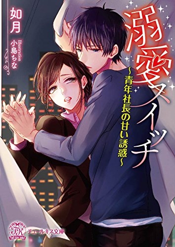 [ライトノベル]溺愛スイッチ〜青年社長の甘い誘惑〜 (全1冊)