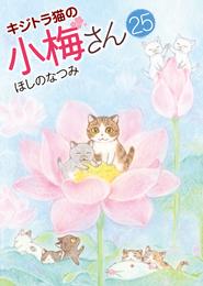 キジトラ猫の小梅さん 25 冊セット 最新刊まで