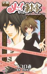 メイちゃんの執事小説オリジナル 2 冊セット 最新刊まで