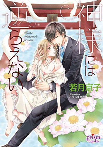 [ライトノベル]神様には逆らえない (全1冊)