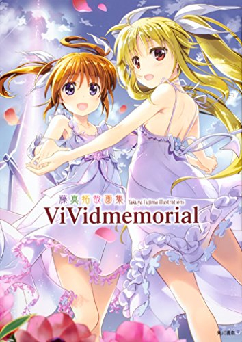 藤真拓哉画集 ViVidmemorial