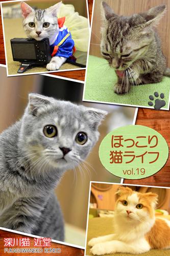 ほっこり猫ライフ　vol.19