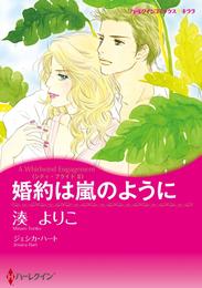 婚約は嵐のように〈シティ・ブライドⅡ〉【分冊】 9巻