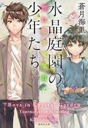 [ライトノベル]水晶庭園の少年たち 瑠璃の空 (全2冊)