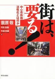 街は、要る！ : 中心市街地活性化とは何か