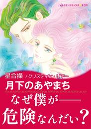 月下のあやまち〈バイキングの花嫁たちII〉