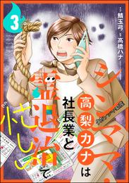 シンママ・高梨カナは社長業と霊退治で忙しい（分冊版）　【第3話】